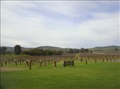 Yacob's Creek, wine tasting in the Barossa, SA: by thomasz, Views[283]