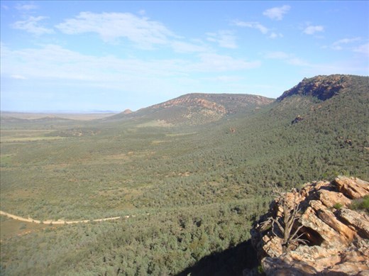 @ the lookout in Hawker, SA