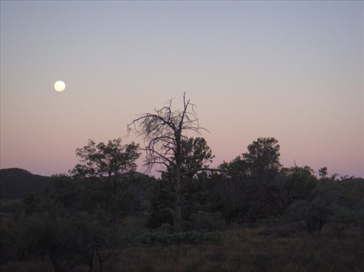 Nightfall, Flinders Ranges NP