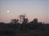 Nightfall, Flinders Ranges NP: by thomasz, Views[273]
