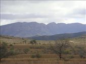 The ABC Range, Flinders Ranges NP: by thomasz, Views[309]
