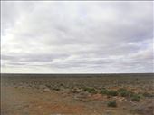 Empty space, outback SA: by thomasz, Views[247]