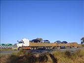 A road rain gets up to 53.5m long, Northern Territory: by thomasz, Views[257]