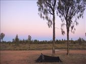 Camping near Uluru, NT: by thomasz, Views[197]