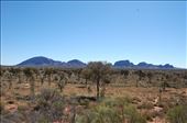 Kata-Tjuta: by thomasz, Views[225]
