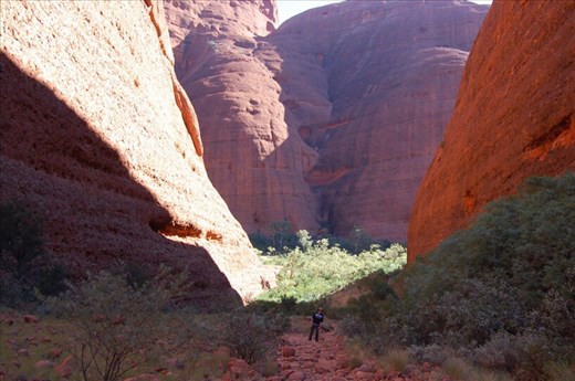 It's pretty big alright