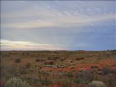 Desert near Uluru: by thomasz, Views[228]