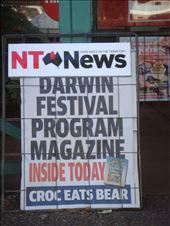 'Croc eats Bear', NT News is the best newspaper around, NT: by thomasz, Views[186]