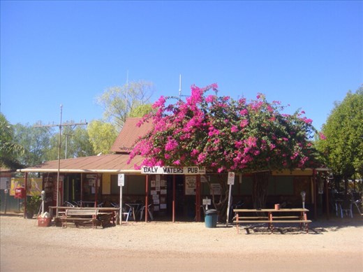 Daly Waters Outback Pub, Daly Waters, NT