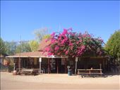 Daly Waters Outback Pub, Daly Waters, NT: by thomasz, Views[182]
