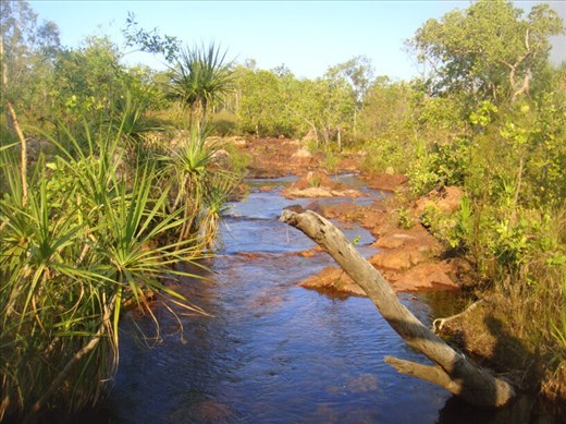 Top of Wangi Falls, Litchfield NP