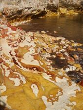 Colourful rocks, Darwin: by thomasz, Views[303]