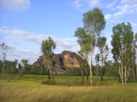 Could be in India, Kakadu NP