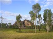 Could be in India, Kakadu NP: by thomasz, Views[272]