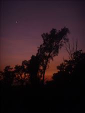 Just before dawn, East Alligator River, Kakadu NP: by thomasz, Views[201]
