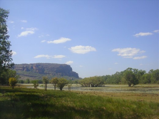Anbangbang Billabong, Nourlangie in the background, Kakadu NP