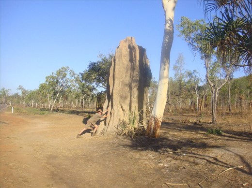 Big termite mound, Kakadu NP