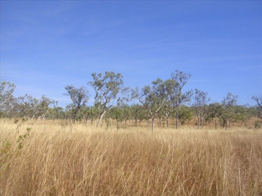 The landscape keeps changing all the time, Gunlom, Kakadu NP