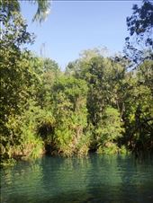 Berry Springs, South of Darwin: by thomasz, Views[341]