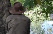 Spotting crocs in the bush, Kakadu NP: by thomasz, Views[324]