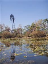 Billabong & windmill, Keep River NP, NT: by thomasz, Views[393]