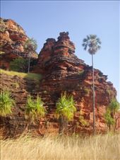 Jarnem loop walk, Keep River NP: by thomasz, Views[294]