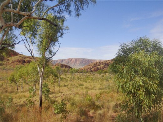 Looking for a glimpse of the lake