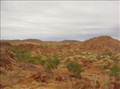 Near Halls Creek, WA: by thomasz, Views[202]