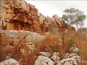 China Wall, Halls Creek, WA: by thomasz, Views[234]