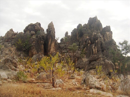 Eroded limestone, Geikie Gorge NP, WA