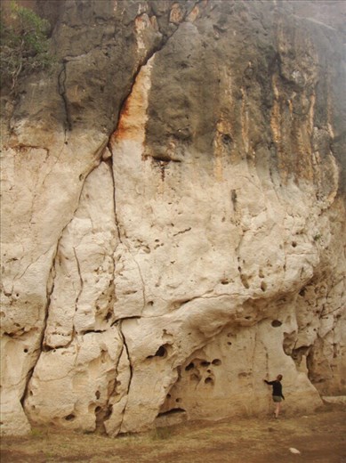 Difference in water level between wet and dry season (around 14m), Geikie Gorge NP, WA