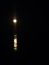 Staircase to the moon, Broome, WA: by thomasz, Views[240]
