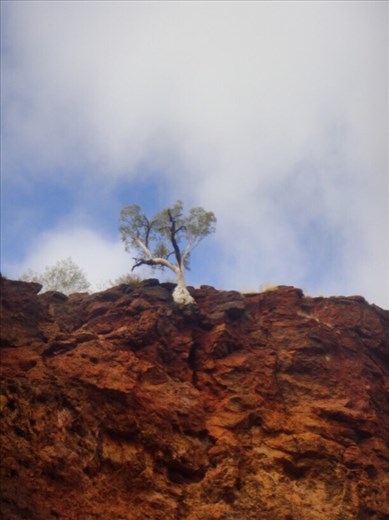 Defying gravity, Dales Gorge, Karijini NP, WA