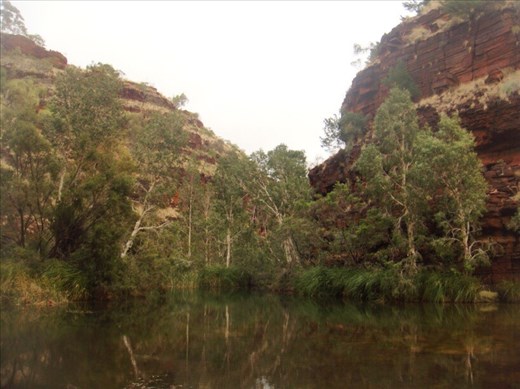 Pond, Dales Gorge, Karijini NP, WA