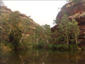 Pond, Dales Gorge, Karijini NP, WA: by thomasz, Views[144]