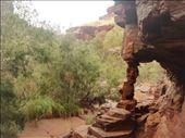 Pillar under stress, Dales Gorge, Karijini NP, WA: by thomasz, Views[149]
