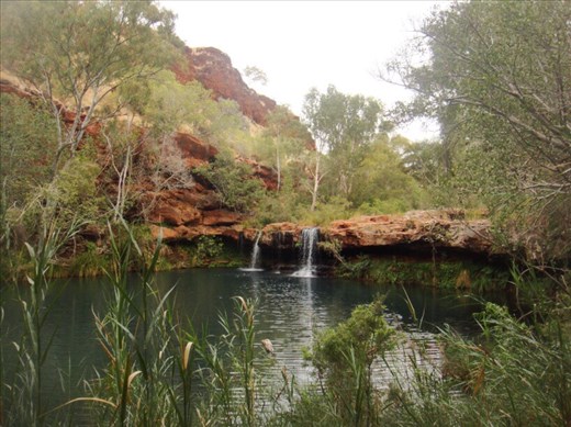 Fern Pool, Karijini NP, WA