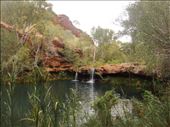 Fern Pool, Karijini NP, WA: by thomasz, Views[207]
