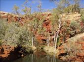 Weano Gorge, Karijini NP, WA: by thomasz, Views[132]