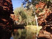 Is this the end of the walk?, Weano Gorge, Karijini NP, WA: by thomasz, Views[143]