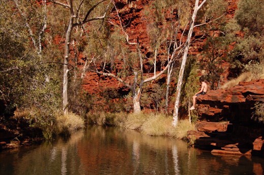 Considering a swim, Weano Gorge, Karijini NP, WA