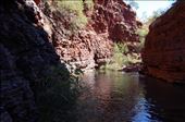 Wading further through Weano Gorge (freezing cold), Karijini NP, WA: by thomasz, Views[145]