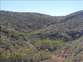 Into the hills, Cape Range NP, WA: by thomasz, Views[143]