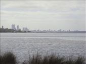 Swan river, CBD in the background, Perth: by thomasz, Views[148]