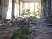 Rubbish and weeds, Old power station, Fremantle: by thomasz, Views[141]