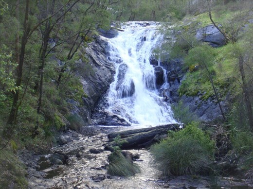 Beedelup Falls, Beedelup NP, WA