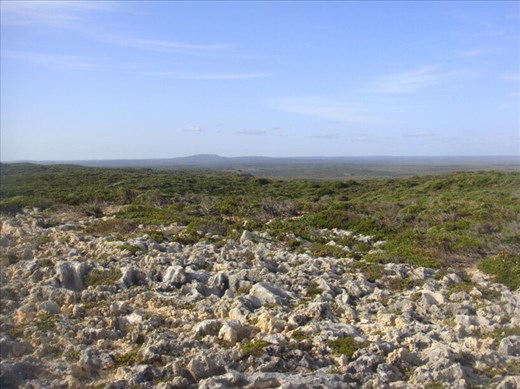 Limestone rocks, D'Entrecasteaux NP, WA