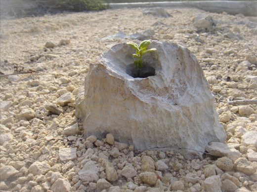 Persistence, D'Entrecasteaux NP, WA