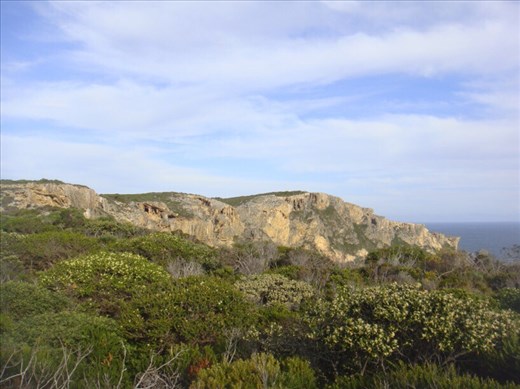 Limestone cliffs, D'Entrecasteaux NP, WA