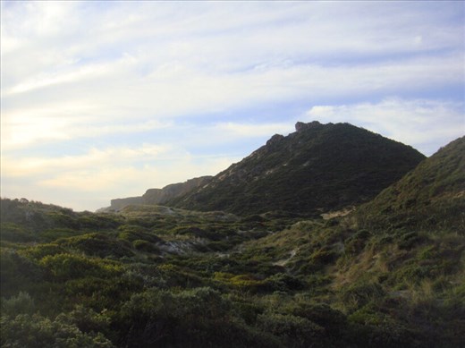 Covered dunes, D'Entrecasteaux NP, WA